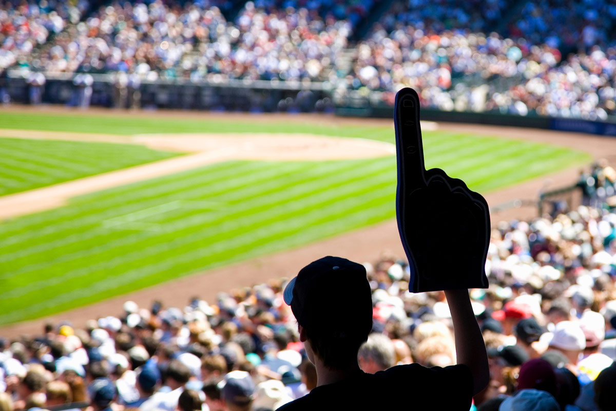 fan at baseball game image